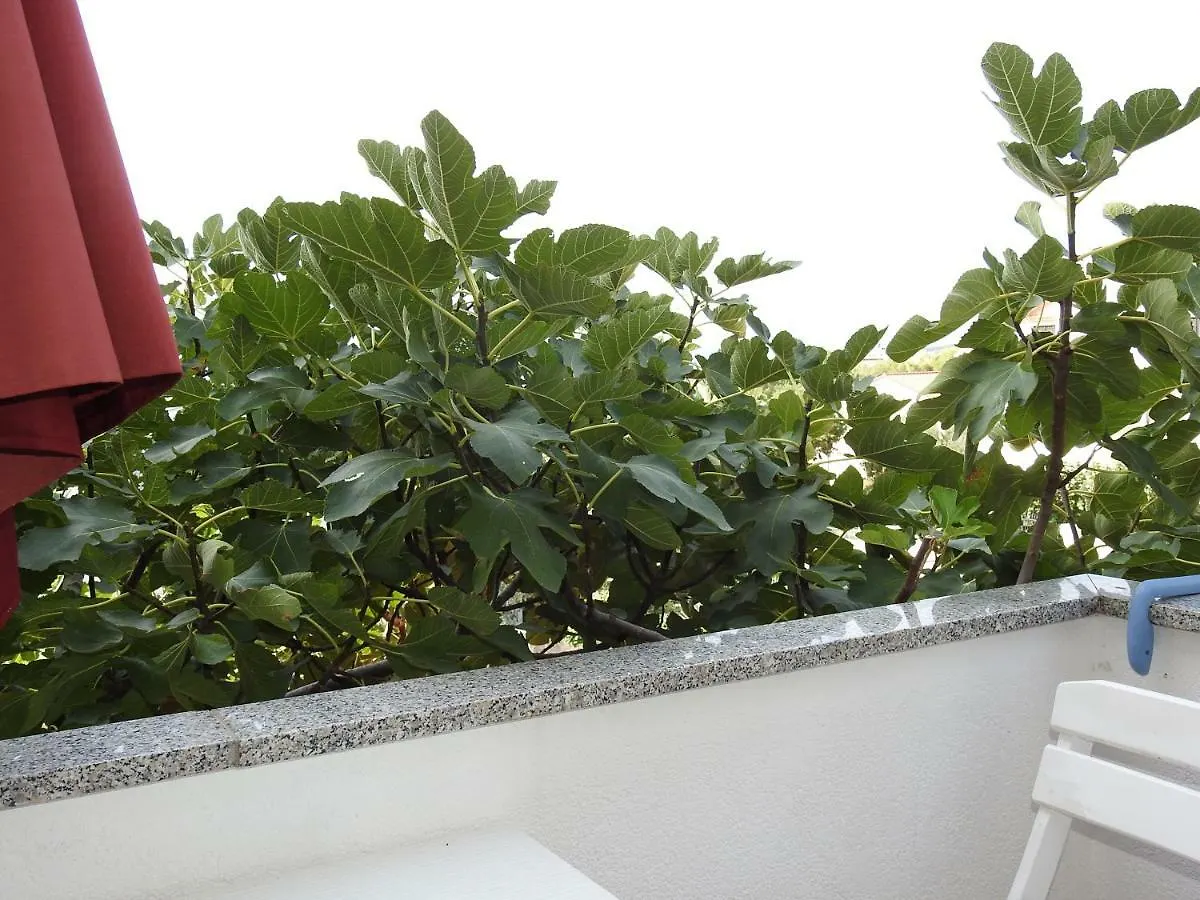 Vb Jelcic Krk Apartman Krk Town